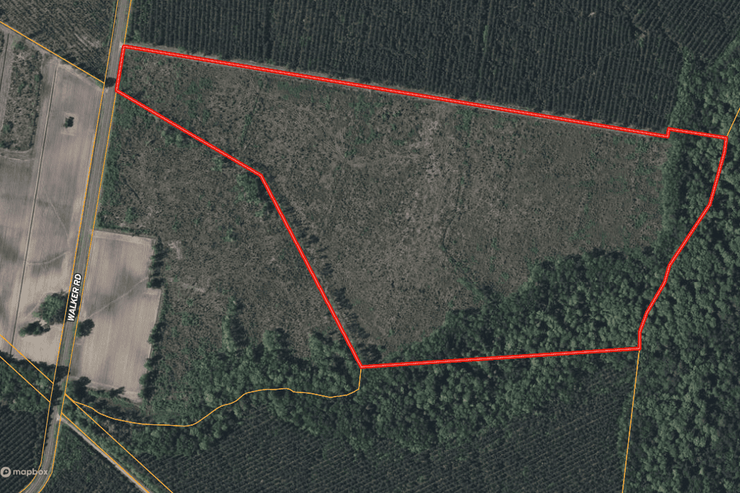 52-Acre Timber and Hunting Tract Near New Bern, NC